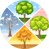 Seasonal & Holidays